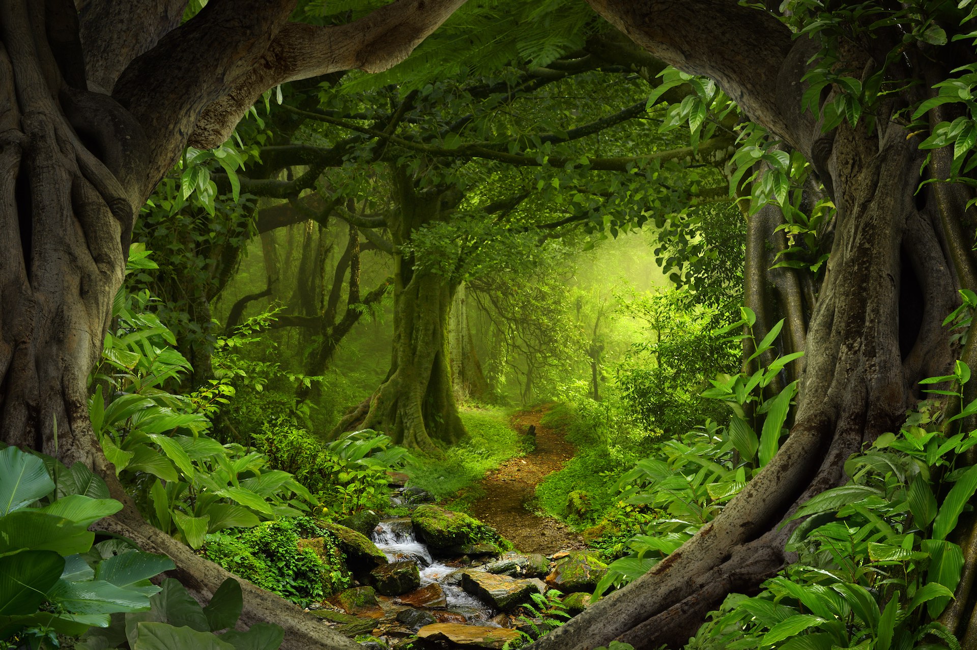 GFI 2024 (GROUPEMENT FORESTIER D’INVESTISSEMENT)