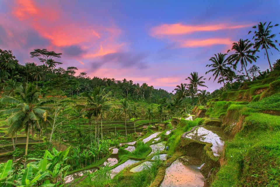 Investir-a-Bali-Indonésie