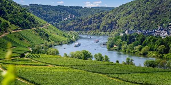 Investir dans les Forets et les Vignobles Investir dans les Forets et les Vignobles